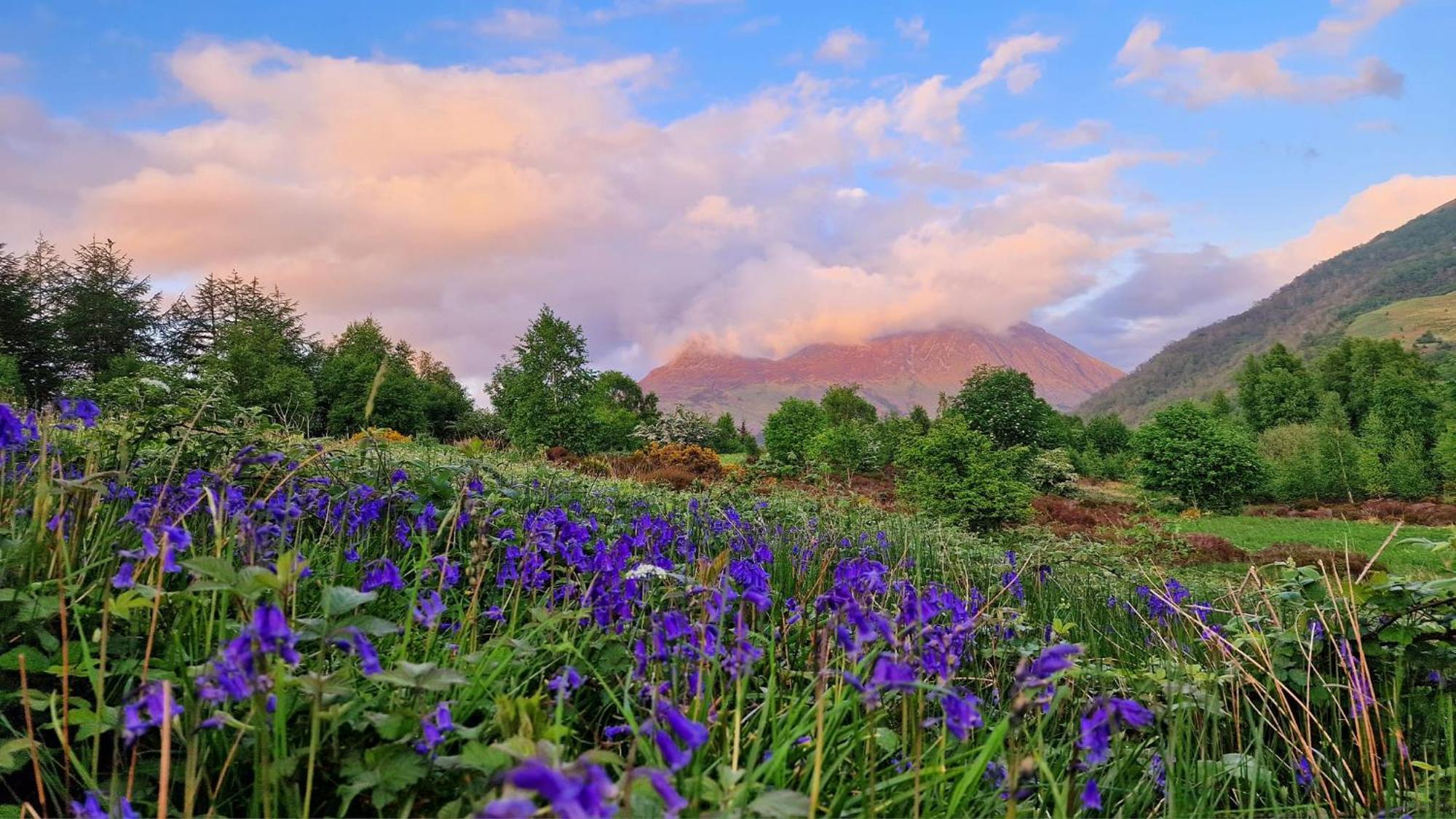 Bothan Creag Sobhrag Ballachulish Exteriör bild