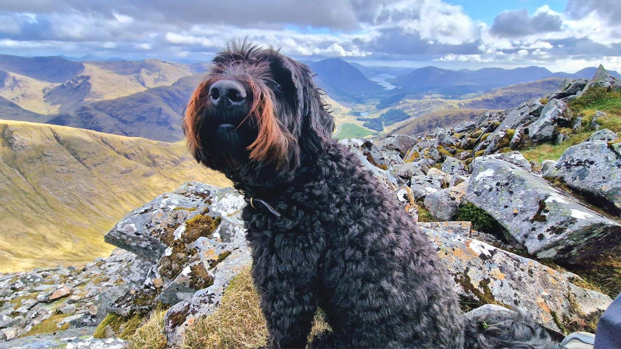 Bothan Creag Sobhrag Ballachulish Exteriör bild